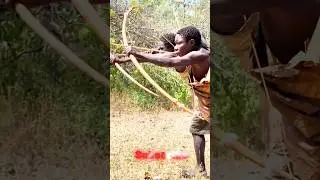 Chaaba & Dudukwe Show Off Crazy Hunting Skills amazing #shorts #Triballife #Hunting
