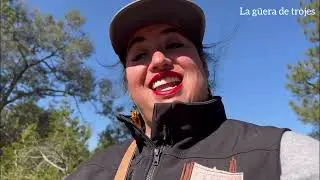 Milpillas de la Sierra