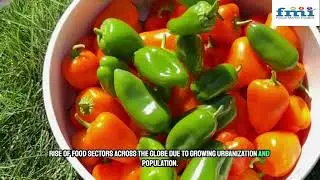 Innovative Packaging Solutions Propel Fresh Food Packaging Market Growth