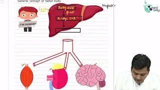 Ketone body || by Dr. Priyansh Jain Sir || Biochemistry Lecture