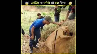 आखिर इन लोगो को क्या मिला ?🔥😮| skyfly facts | #shorts