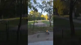 таракан