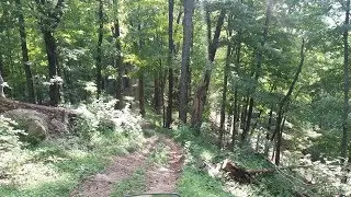 Buying Land For Off-Grid Living In West Virginia{part 7} Found Some Cool Critters