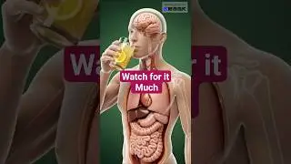 What Happens Inside Your Body When You Drink Lemon Juice? 3D Animation#shorts #health #science