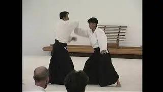 1996 MAC Osensei Memorial Class 5 Iwagaki Shigenori Sensei