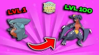 КАК ПОЛУЧИТЬ ГИБЛА И ГАРЧОМПА В POKEMON BRICK BRONZE!!! (PBF)