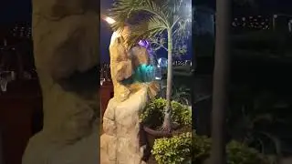 Al Habib Restaurant, Do Daryaالحبیب ریسٹورانٹ  June 2025