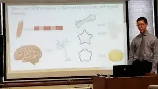 Jason Tran 2018 Summer Research