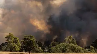 Western Australian bushfire threatens homes
