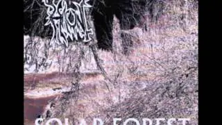 Haunt - Solar Forest