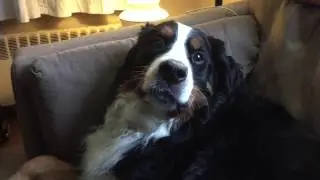 VEDA - April 26, 2017