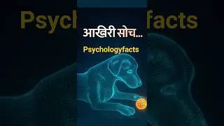 Psychology: कुत्ता मरते समय क्या सोचता है?|Emotional Facts