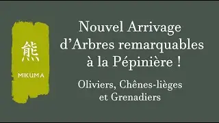 video pepiniere