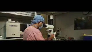 Abha Surgy Centre - Dr Bani Kumar Mitra