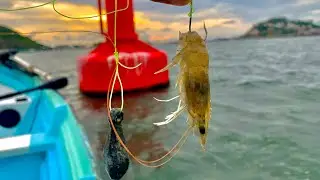 Pesca a FONDO con TRONCHO DE CAMARÓN || pescando con LINEA A MANO.