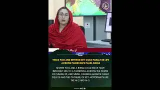 Extreme Winter Alert: Pakistan Under Thick Fog! 🌫️PakistanWeather #Winter2026 #BreakingNews