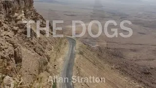 The Dogs By: Allan Stratton Book Trailer