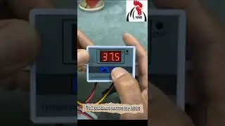 XH-W3001  Temperature Controller Digital W3001 Thermostat Controller for Switc#eggincubatorhatching