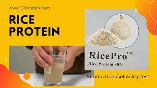 RicePro&trade; rice protein introduction and solubility test experiments ETprotein