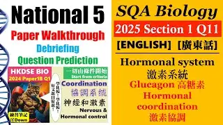SQA National 5 Bio│2025 MC Q11│glucagon 高糖素│hormone 激素│Faith Education {雙語Bilingual}