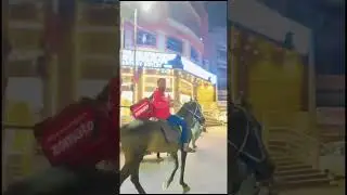 Zomato deliver order by horse #shorts #reels #zomato #horse