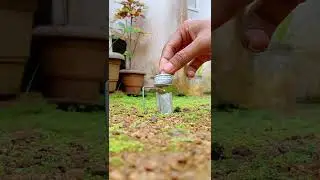 😮Wax vs Icewater 🔥 Experiment 🎇 #shorts