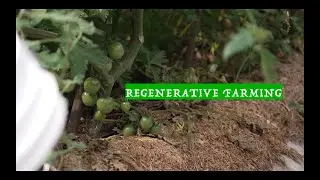 Soil Trust: Reducing Waste, Regenerating Soil Health