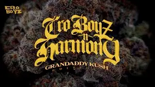 MIKEY STARR & SHADE ONE I BE GETTING MINES CRO BOYZ N HARMONY (OFFICIAL MIX TAPE)