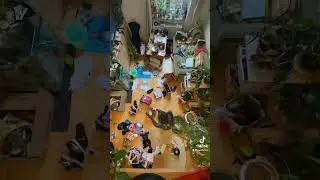 POV: you are a bug on my ceiling🐞 #cleaning #cleanup #tidyup #declutter #timelapse #messy #fyp