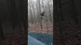 Nietypowe w Polsce słupołazy