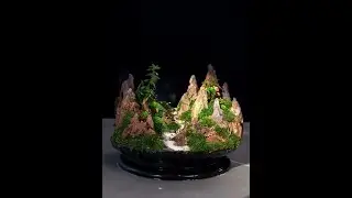 创意微景观 #手艺人 #微景观制作 #废物利用变废为宝 #创作人计划 #铜铃山