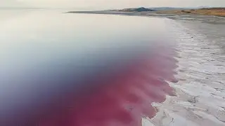Pink Waters on the Great Salt Lake, Utah | 4k Drone Footage