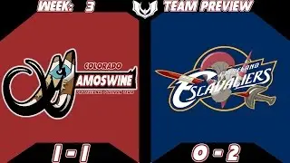 OBC Week 3 Colorado Mamoswine Vs Cleveland Escavaliers Team Overview