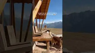 Best cabin to stay in Peru🦙 - Mountain view experience 🫶 #peru #alpaca #cabin #travel #hiddengems