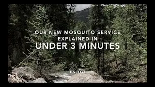Pest Control Experts - No-Spray Mosquito Prevention Service! Environmentally friendly pest control