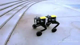 Real-Life Transforming Robot Is Here! | Shape-Shifting AI That Adapts Like Sci-Fi