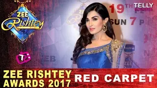 Shiny Doshi At Zee Rishtey Awards 2017 | Zee TV Silver Jubilee Celebration | #ZRA2017