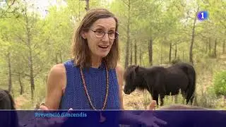 Implicades en la recerca cient&iacute;fica           #cavalls #persones #natura