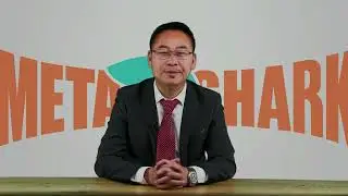 Новый продукт от MetaShark!