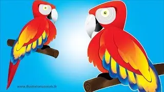 illustrator how to design a parrot | illustrator tutorials