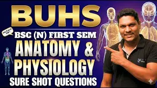 Exam Alert🚨 BUHS Nursing Exam: Anatomy & Physiology Most Imp Ques | bsc nursing 1st sem imp que 2026