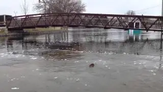 Peterborough Flooding 2014