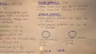 Water Potential | Solute And Pressure Potential | Class 11