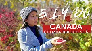 5 l&yacute; do Canada c&oacute; m&ugrave;a thu đẹp nhất