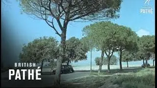 Life Aboard Ship (1959)