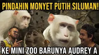 AUDREY PUNYA KEBON BINATANG BARU BUAT MONYET ALBINO SILUMAN HANO HARA KING OF THE JUNGLE