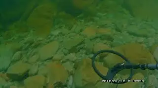 Underwater Gold Nugget Detecting (Garrett Infinium LS) OutOfBoundsNZ
