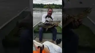 Ja&uacute; pescado no Rio Aripuan&atilde;