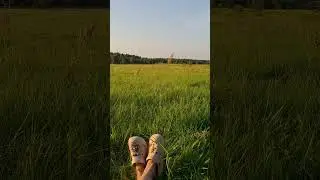 #природа #релакс #ютуб #nature #like #travel #vibes