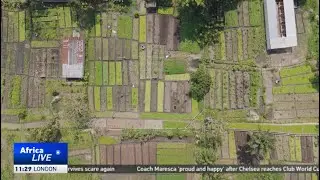 Mineral-rich DR Congo looks to agriculture to diversify economy